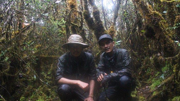 Setelah berjuang selama lebih 16 hari dari total 19 hari (PP) merintis jalur pendakian Gunung Abong-abong Gayo Lues. 2 ekspeditor Aceh Tracker, yakni Said Murthaza (38) sebagai Teamleader dan Sultan Refi Pobri Fonna (25) sebagai Sweeper akhirnya menghentikan upaya tersebut. Rencana awal pendakian Puncak Abong-abong mulai 27 Juni - 12 Juli 2023, tapi molor dari 27 Juni menjadi 16 Juli 2023 akibat faktor cuaca