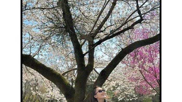 Ayu Ting Ting membagikan momen liburannya di Jepang pada 6 April 2025. Pedangdut cantik ini menuliskan caption singkat saat melihat keindahan bunga Sakura.