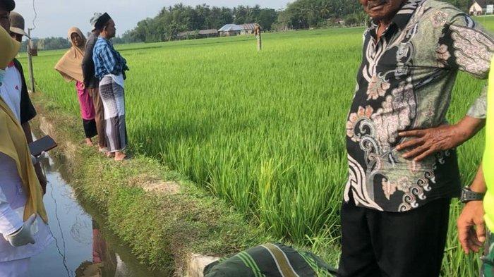 Warga melihat sesosok mayat ditemukan di tanggul saluran air di areal persawahan Simpang Tiga, Pidie, Selasa (13/2/2024). FOR SERAMBINEWS.COM