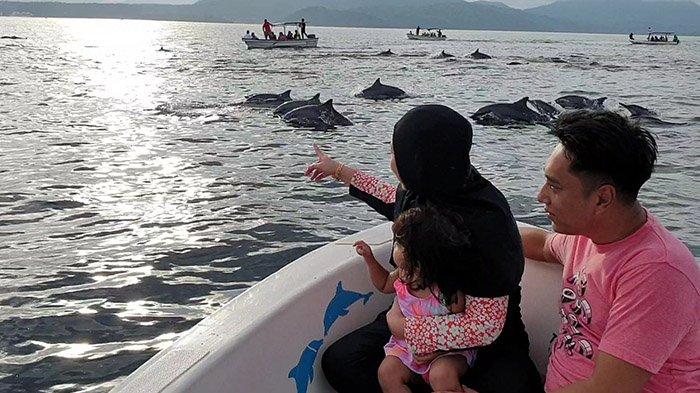 Iboih Dibanjiri Wisatawan, Dolphin Trip Jadi Daya Tarik Utama