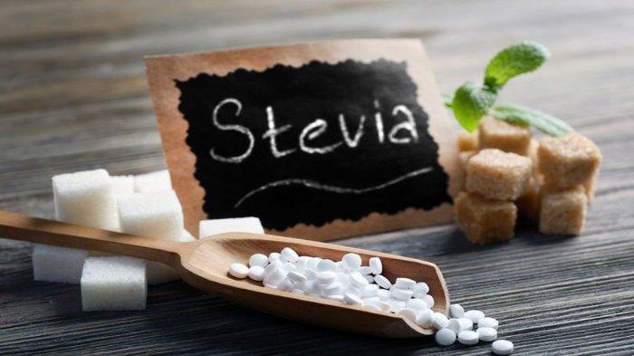 Ilustrasi daun stevia, berikut ini manfaat daun stevia untuk penderita diabetes
