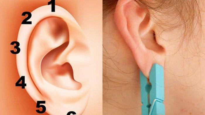 Inilah manfaat yang akan dirasakan ketika menjepit telinga dengan jepit jemuran (Sajian Sedap)