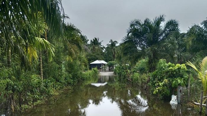 Kondisi permukiman warga Gampong Blang Padang, Kecamatan Tangan-Tangan, Kabupaten Aceh Barat Daya (Abdya) digenangi air akibat tersumbatnya mulut Muara Pasie Geunteng, Senin (21/7/2025).