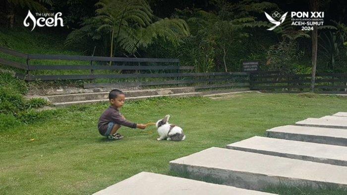 Anak bermain dengan kelinci di objek wisata Natural Park Aceh Tengah.