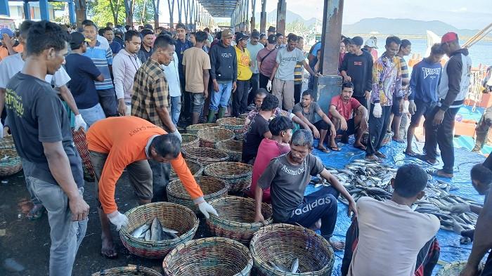 SORTIR IKAN - Nelayan mensortir ikan hasil tangkapan untuk dijual kepada nelayan di TPI Lampulo, Banda Aceh, Kamis (17/7/2025).
