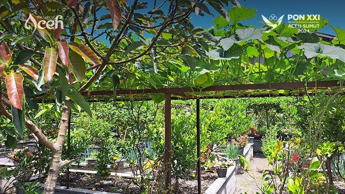 Wisata edukasi Rumah Pangan Lestari di Kampung Asir Asir Atas, Kecamatan Lut Tawar, Kabupaten Aceh Tengah.