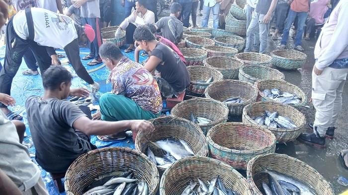 SORTIR IKAN - Nelayan mensortir ikan hasil tangkapan untuk dijual kepada nelayan di TPI Lampulo, Banda Aceh, Kamis (17/7/2025).