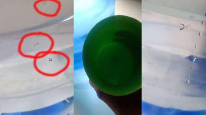 Air galon isi ulang berisi jentik-jentik nyamuk tersebut dibeli dengan harga 5 ribu rupiah.