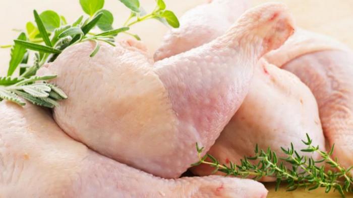 AYAM KAYA PROTEIN