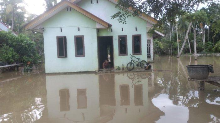 Puluhan desa dalam Kecamatan Matangkuli, Kabupaten Aceh Utara hingga Sabtu (7/10/2023) masih direndam banjir akibat meluap air dari Krueng Keureuto