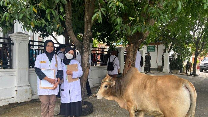 Masjid Al-Jihad Jeulingke Salurkan Ribuan Paket Daging Kurban