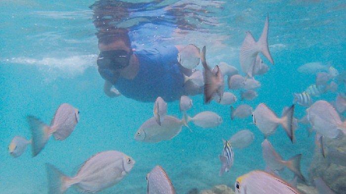 Wisatawan berenang bersama ikan di kawasan Pantai Iboih, Sabang. Wilayah Pulau Weh atau Kota Sabang yang terletak di ujung paling barat Indonesia menjadi salah satu destinasi wisata favorit yang ramai dikunjungi wisatawan nusantara pada momentum libur panjang.