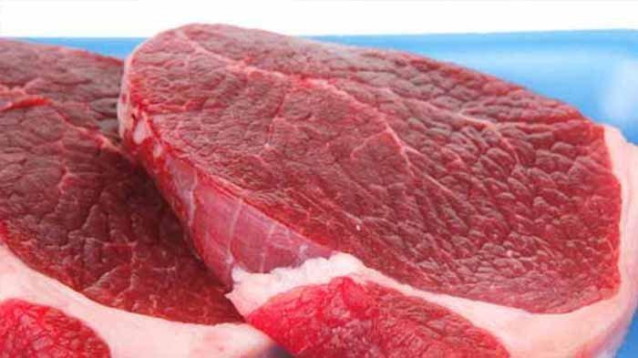 ilustrasi daging