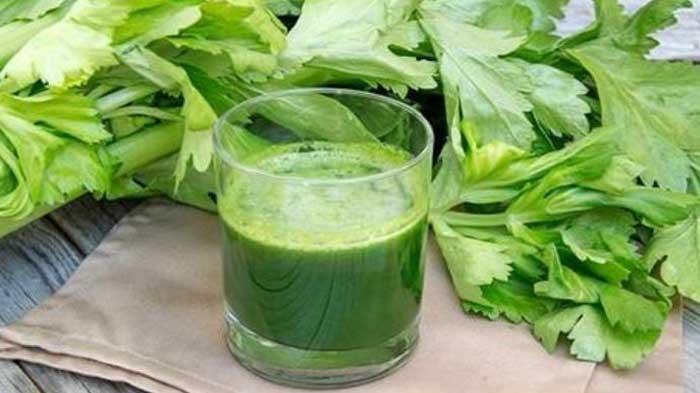 Manfaat jus seledri yang jarang diketahui.
