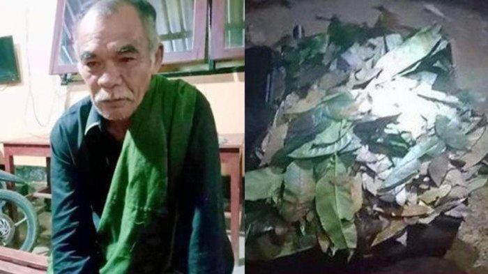 Inilah sosok kakek 70 tahun yang lamar wanita bernama Rosdiana (28) asal Bima, NTB dengan sekoper uang daun.