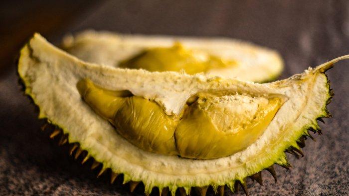 Legitnya durian Lhong Aceh Besar, salah satu durian terbaik di Aceh.
