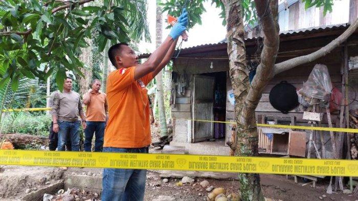 Tim Indonesia Automatic Fingerprint Identification System (Inafis) Polres Aceh Selatan saat melakukan Olah Tempat Kejadian Perkara (TKP) di pohon mangga belakang rumah almarhum di Dusun Rimeh, Gampong Krueng Batu, Kecamatan Kluet Utara, Kabupaten Aceh Selatan, Minggu (3/3/2024).