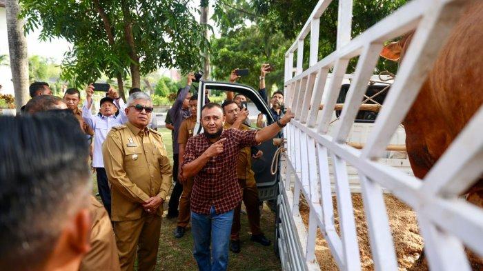 Penjabat Gubernur Aceh, Bustami, SE, M.Si berbincang dengan peternak sapi Aceh, Hasrul Abdul Muthalib saat penyerahan hewan kurban bantuan Presiden RI kepada Pemerintah Kabupaten Pidie Jaya, yang diterima PJ Bupati, Ir. Jailani, di Halaman Kantor Gubernur Aceh, Selasa, (11/6/2024)