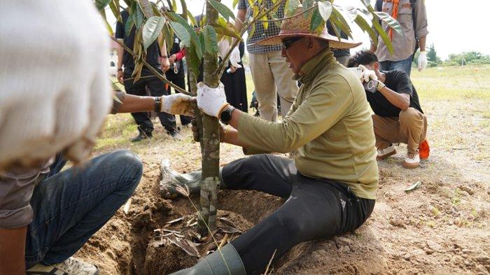 Rektor Unimal, Prof. Dr. Herman Fithra ASEAN Eng, menanam pohon produktif di lingkungan Kampus Reuleut, Aceh Utara, pada Senin (12/5/2025). Dok Unimal