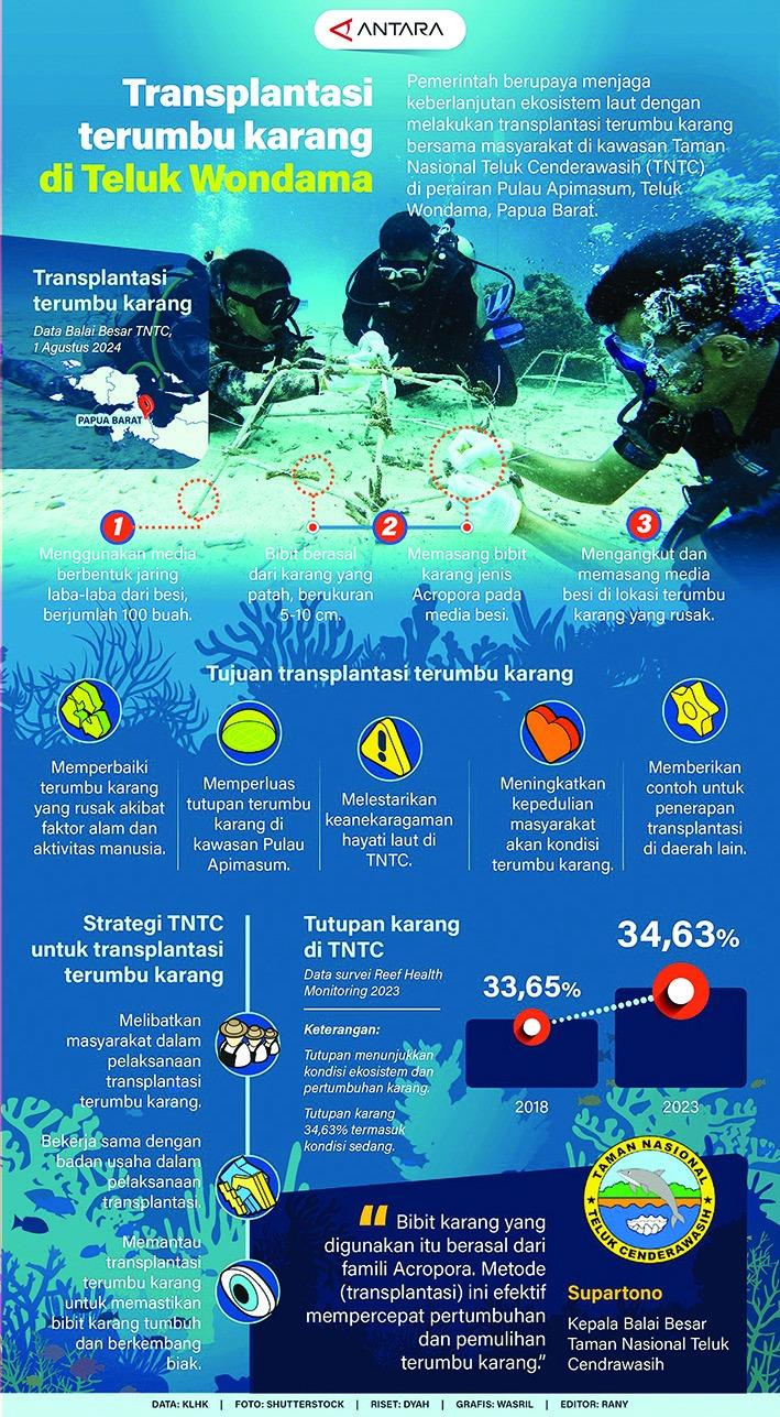 Infografis