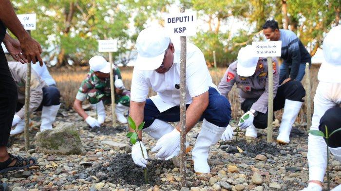 Deputi I KSP, Febry Calvin Tetelepta saat penanaman Mangrove di pesisir pantai Negeri Waai, Salahutu, Malteng.