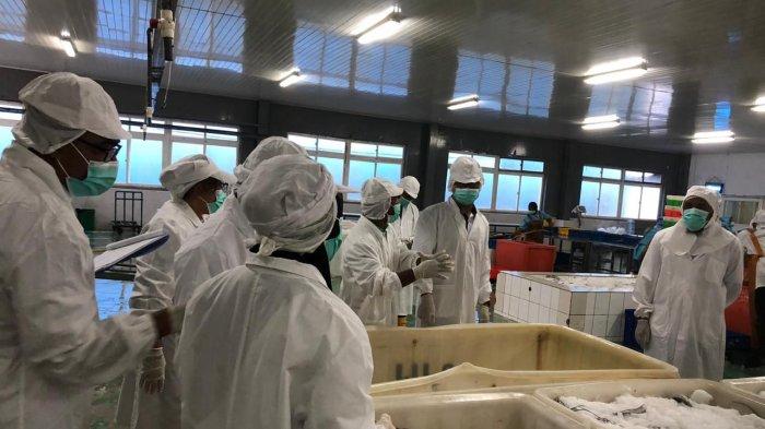 Badan Pengendalian dan Pengawasan Mutu Hasil Kelautan dan Perikanan melalui BPPMHKP Ambon melaksanakan kegiatan surveillance penerapan HACCP di Unit Pengolahan Ikan PT. Samudera Indo Sejahtera, Kamis (16/5/2024).