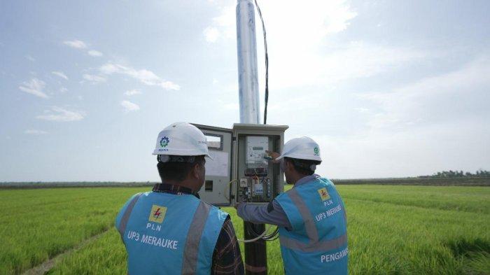 Program PLN khusus untuk sektor pertanian, perikanan, perkebunan hingga peternakan ini tercatat telah dimanfaatkan oleh total 300.535 pelanggan