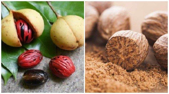 Sumber Daya Alam (SDA) Kepulauan Banda yang menjadi daya tarik berbagai bangsa datang ke kepulauan itu pada abad ke-6 adalah rempah-rempah, khususnya pala.Pala adalah buah dari pohon Myristica fragrans yang memiliki aroma dan rasa khas.