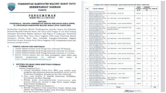 Penerimaan Pegawai Pemerintah dengan Perjanjian Kerja (PPPK) di lingkungan Kabupaten Maluku Barat Daya Tahun 2023