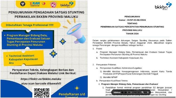 Pengumuman Pengadaan Satgas Stunting Perwakilan BKKBN Provinsi Maluku