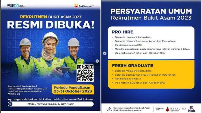 REKRUTMEN BUKIT ASAM RESMI DIBUKA!