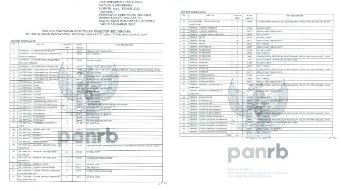 RINCIAN PENETAPAN KEBUTUHAN APARATUR SIPIL NEGARA DI PROVINSI MALUKU UTARA Tenaga kesehatan