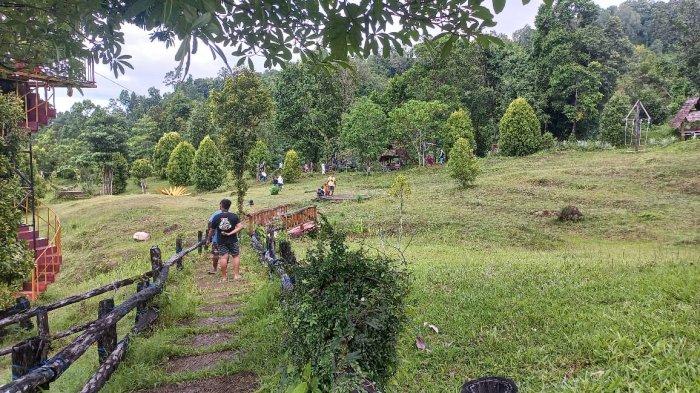 Kawasan Wisata Rumah Pohon Waai, Senin (24/4/2023)