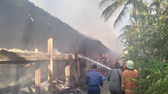 Peristiwa kebakaran kandang ayam berisikan 12.000 ekor bibit ayam di Lingkungan Petapan Persidi, Kelurahan Tegalcangkring, Kecamatan Mendoyo, Jembrana, Senin 29 Juli 2024 - BREAKING NEWS: Kandang Ternak Ayam Hangus Terbakar, 12.000 Ekor Bibit Ayam Terpanggang di Jembrana