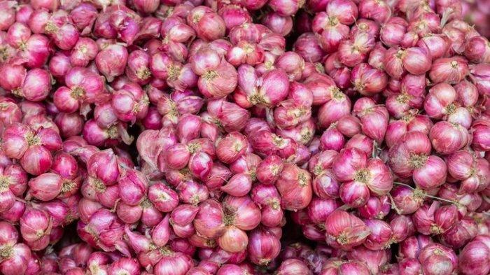 Berdasarkan Data Panel Harga Badan Pangan Nasional (Bapanas), Minggu (29/12) pukul 12:12 WIB harga bawang merah naik 0,27% menjadi Rp 40.930 per kg, bawang putih naik 0,61% menjadi Rp 42.740 per kg, cabai merah keriting naik 0,84% menjadi Rp 47.880 per kg, dan cabai rawit merah naik 0,21% menjadi Rp 57.650 per kg.