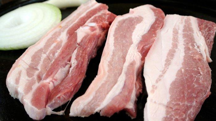 Ilustrasi daging babi