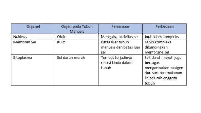 Jawaban Soal IPA Kelas 8 Semester 1 Halaman 22 Kurikulum Merdeka jawaban 2