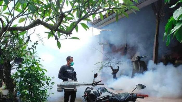 Kegiatan foging - Kasus Demam Berdarah Dengue (DBD) di Kota Denpasar kini sudah menyentuh angka seribu lebih. Pemerintah kota masih berhitung ihwal penerapan dan sasaran vaksin DBD.