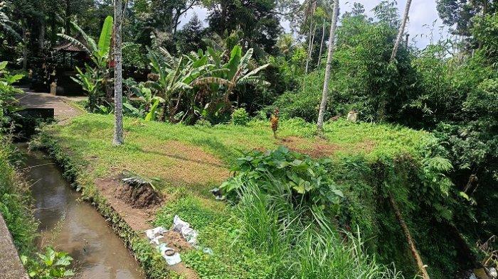 KUBURAN - Kondisi kuburan bayi di Desa Demulih, Kecamatan Susut, Bangli, Bali, Kamis 22 Mei 2025.