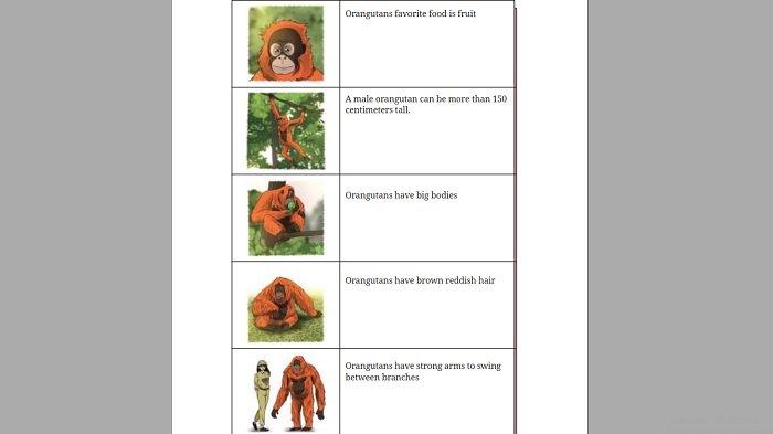Kunci Jawaban Bahasa Inggris Kelas 9 Halaman 42 43 44 45 46 47 Kurikulum Merdeka 3