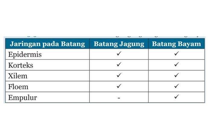 Kunci Jawaban IPA Kelas 8 Semester 1 Halaman 122 123 124 jawaban 1