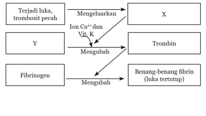Kunci Jawaban IPA Kelas 8 Semester 1 Halaman 283 284 1