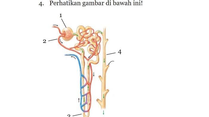 Kunci Jawaban IPA Kelas 8 Semester 2 Halaman 110 111 112 2