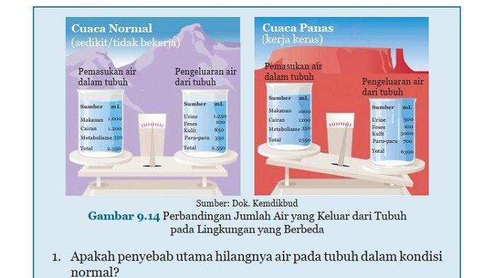 Kunci Jawaban IPA Kelas 8 Semester 2 Halaman 91 95 2