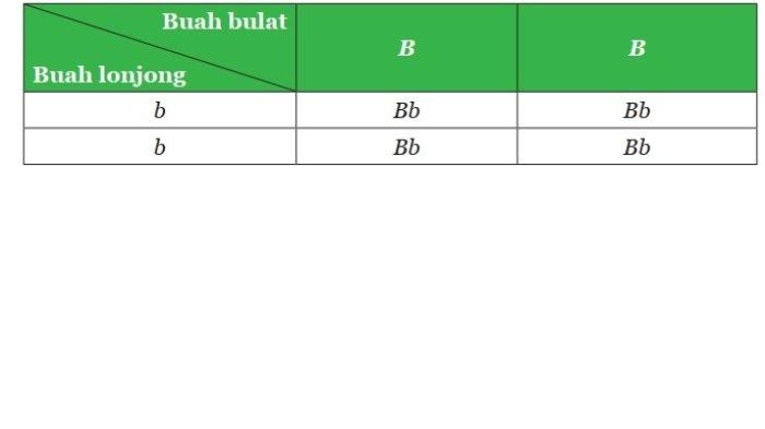 Kunci Jawaban IPA Kelas 9 Semester 1 Halaman 159 jawaban 1