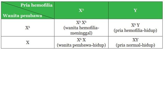 Kunci Jawaban IPA Kelas 9 Semester 1 Halaman 159 jawaban 2