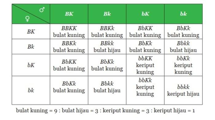 Kunci Jawaban IPA Kelas 9 Semester 1 Halaman 159 jawaban 3