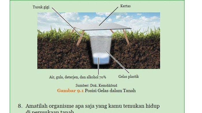Kunci Jawaban IPA Kelas 9 Semester 2 Halaman 157 158 1