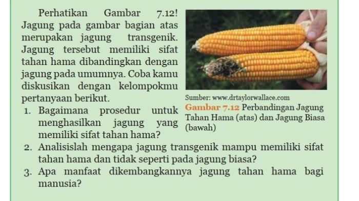 Kunci Jawaban IPA Kelas 9 Semester 2 Halaman 67 1
