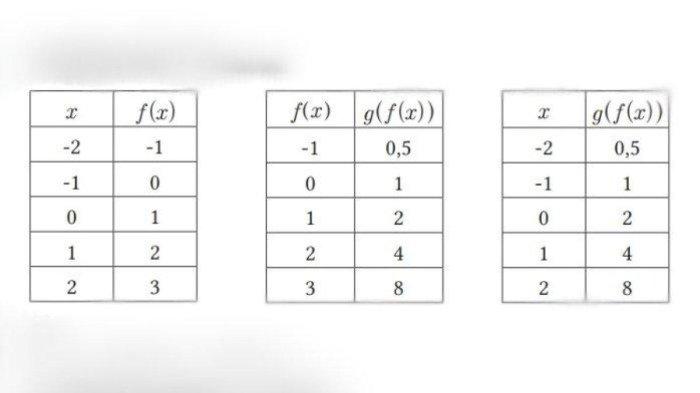 Kunci Jawaban Matematika Kelas 11 Halaman 31 Nomor 5